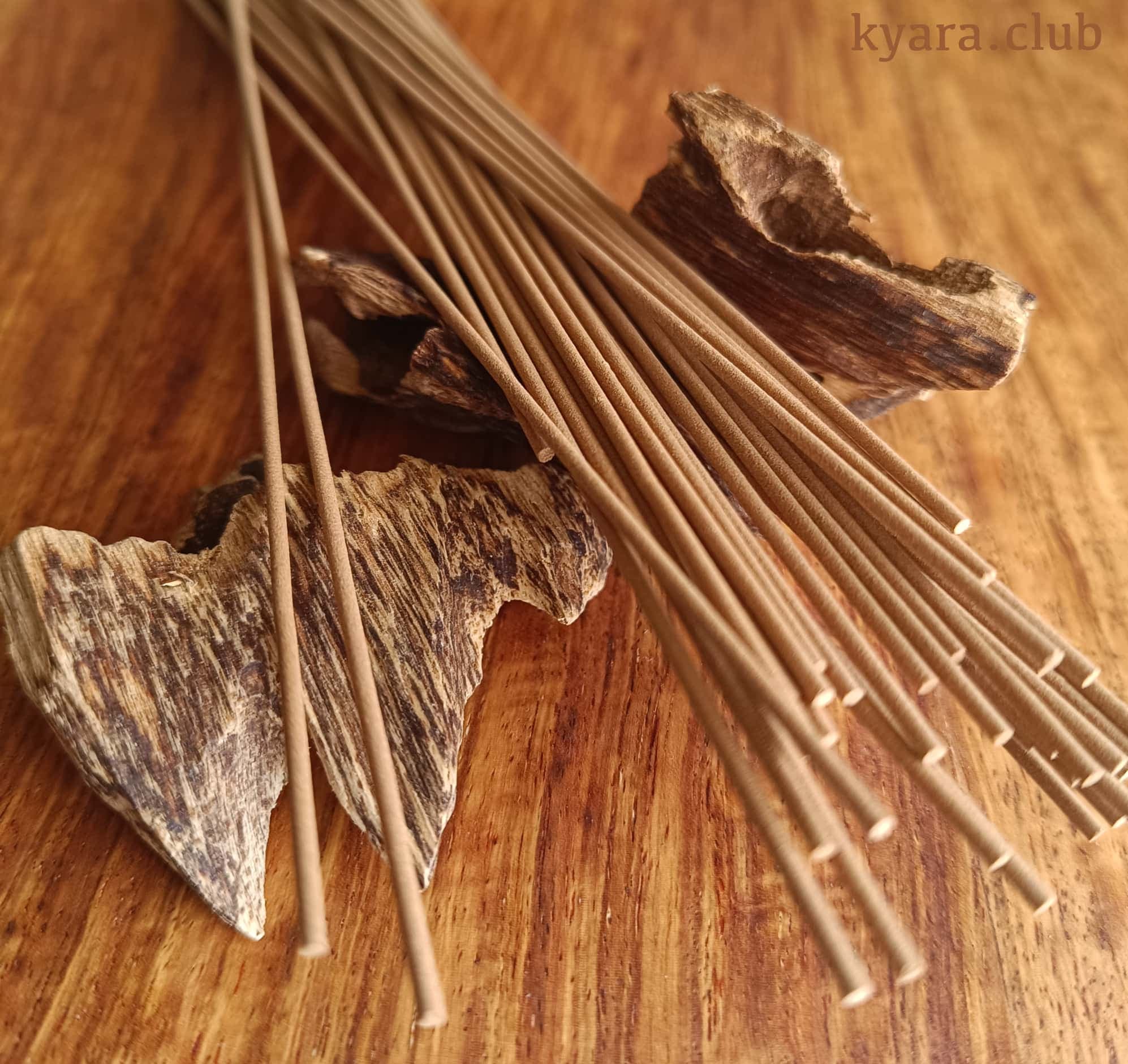 Hainan Chun Lou agarwood — AA